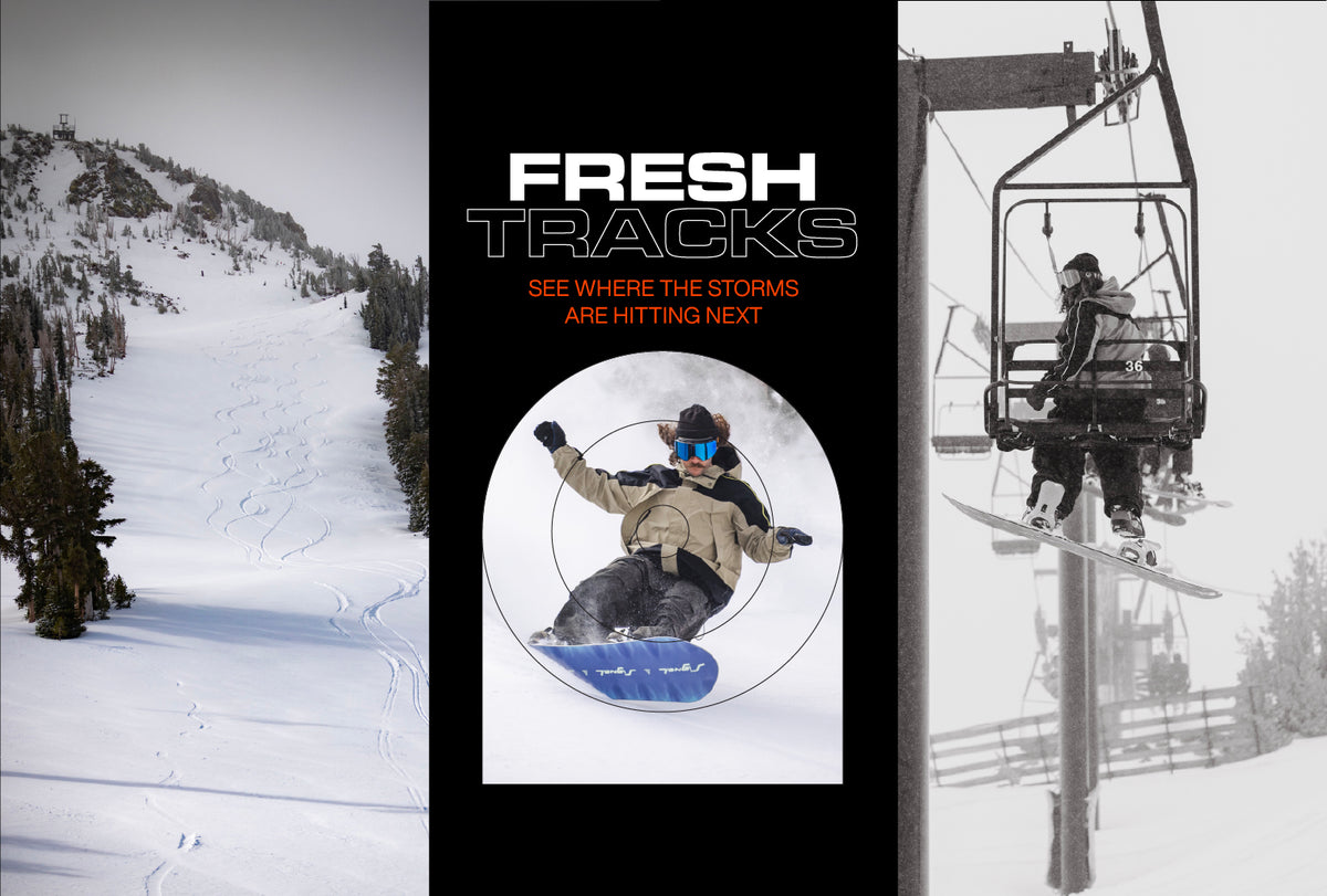 Get the Snowcast. Fresh Tracks, Every Day